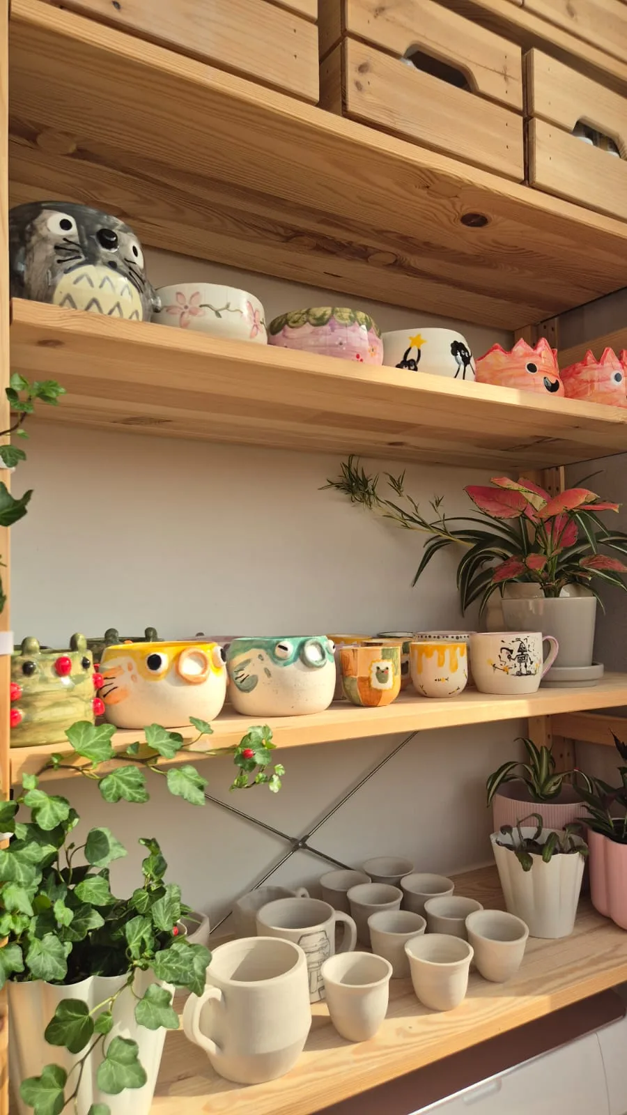 papilio pottery on the studio shelves