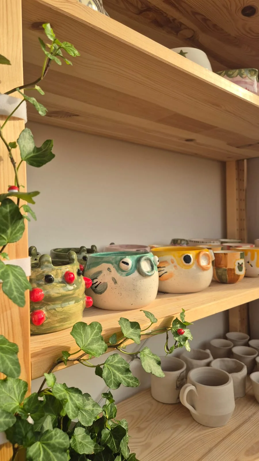shelf of hand-painted papilio mugs and plants