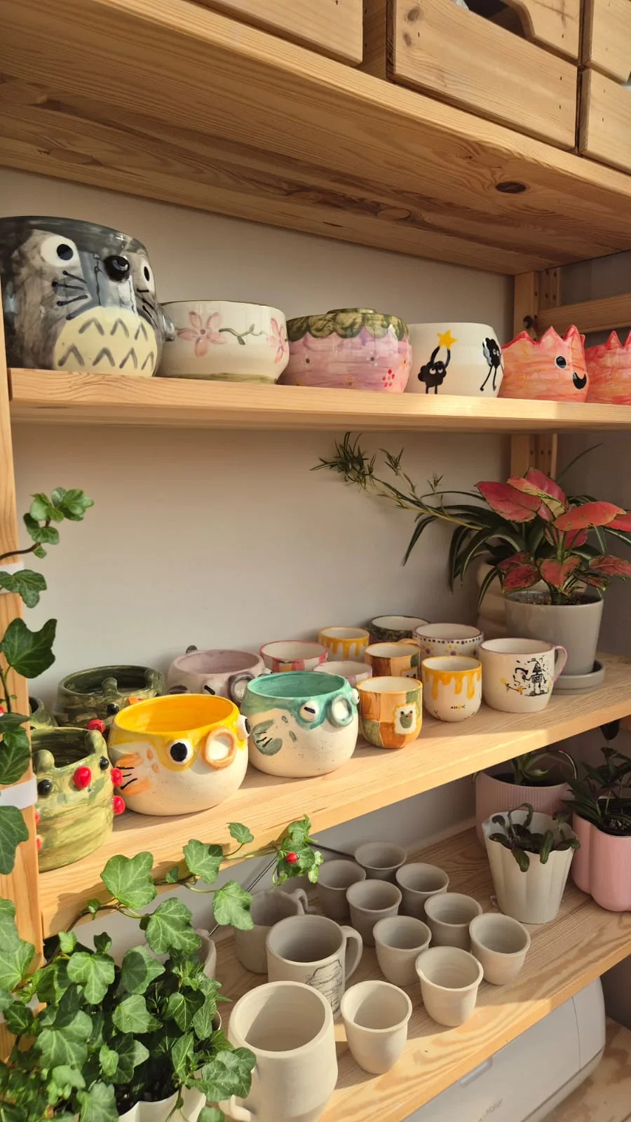 papilio pottery